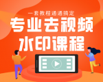 专业去视频水印教程 静态水印、动态水印、文字水印、图片水印一套教程通通搞定-学习资源库