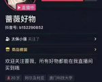 爆抖联盟蔷薇好物连怼100技术,一天连怼上百个视频,单场直播平均带货30万玩法-学习资源库