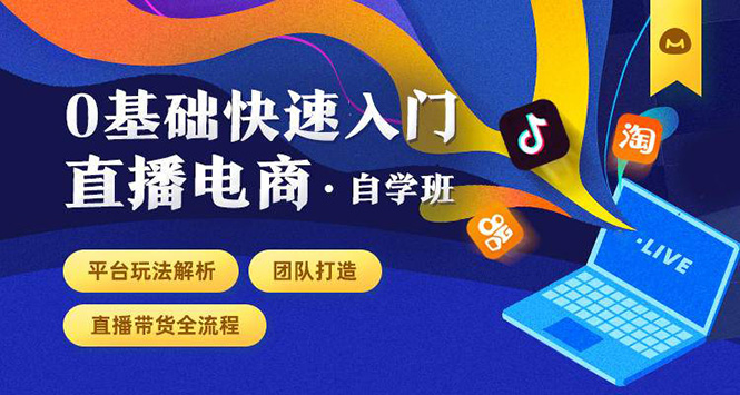 0基础快速入门直播电商课程：直播平台玩法解析-团队打造-带货全流程等环节-学习资源库