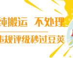 抖音纯搬运 不处理 小技巧,30秒发一个作品,避免违规评级秒过豆荚-学习资源库