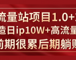 《大流量站项目1.0+2.0》打造日IP10W+高流量站,前期很累后期躺赚-学习资源库