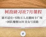 树敌研习社7月课程:破不适宜+零粉万人直播间卡广场+团队赚佣16W美女号套路-学习资源库