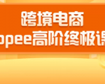 2020跨境电商蓝海新机会-SHOPEE大卖特训营:高阶终极课程(16节课)-学习资源库