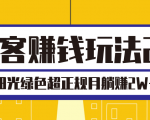 淘客赚钱玩法2.0,阳光绿色超正规项目,月躺赚2W+【视频课程】-学习资源库
