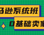 亚马逊系统班,专为0基础卖家量身打造,亚马逊运营流程与架构-学习资源库