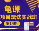 龟课·闲鱼项目玩法实战班第14期,批量细节玩法,一个月收益几万-学习资源库