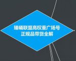 臻曦联盟抖音高权重广场号无人直播正规品带货全解-学习资源库