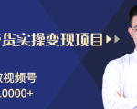 柚子分享课:微信视频号变现攻略,新手零基础轻松日赚千元-学习资源库
