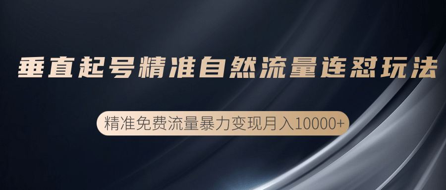 垂直起号精准自然流量连爆玩法，精准引流暴力变现月入10000+-学习资源库