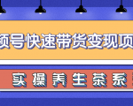 柚子视频号带货实操变现项目,零基础操作养身茶月入10000+-学习资源库