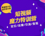 零基础小白进阶到大神《短视频魔力特训营》定位-运营-引流-变现-学习资源库