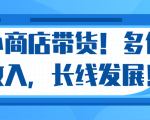 微信小商店带货,爆单多倍收入,长期复利循环!日赚300-800元不等-学习资源库