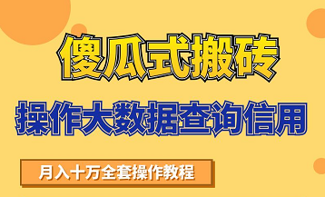 搬砖操作大数据查询信用项目赚钱教程，祝你快速月入6万-学习资源库