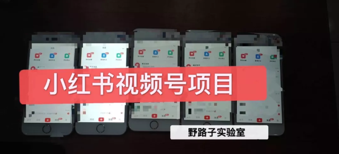 野路子小红书视频号1.0项目，直接上手操作就能赚钱的视频号项目-学习资源库