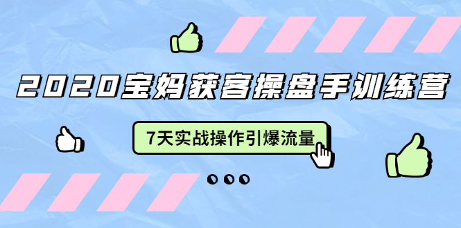 2020宝妈获客操盘手训练营：7天实战操作引爆 母婴、都市、购物宝妈流量-学习资源库
