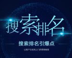 搜索排名引爆点:教你快速掌握各个搜索引擎排名算法,让客户主动找上你的秘笈-学习资源库