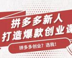 拼多多新人打造爆款创业课：快速引流持续出单，适用于所有新人-学习资源库