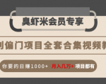 暴利偏门项目全套合集视频教程：你要的日赚1000+月入几万+项目都有-学习资源库