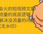 只说话就会火的短视频文案课，从根本上解决没流量的问题-学习资源库