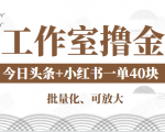 工作室撸金二件套：撸今日头条原创收益+小红书一单利润40块项目-学习资源库