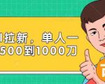 Paypal拉新赚美刀项目，单人一天利润500-1000刀【视频课程】-学习资源库