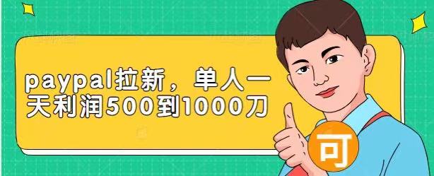 Paypal拉新赚美刀项目，单人一天利润500-1000刀【视频课程】-学习资源库