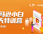 雨课·亚马逊小白特训营第9期 跨境电商挺赚钱的 有朋友已经月入几十万美金-学习资源库