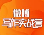 村西边老王·微博超级写作实战营,帮助你粉丝猛涨价值999元-学习资源库