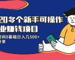 20多个新手可操作的副业赚钱项目：业余时间0基础日入几500+实操分享-学习资源库