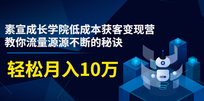 素宣成长学院低成本获客变现营，教你流量源源不断的秘诀，轻松月入10万-学习资源库