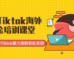 最新Tiktok海外掘金培训课堂：带你玩转Tiktok暴力涨粉轻松变现-学习资源库