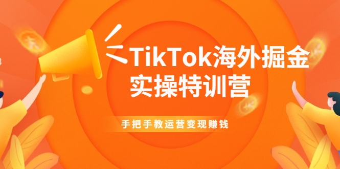 TikTok海外掘金实操特训营：手把手教运营变现赚钱-学习资源库