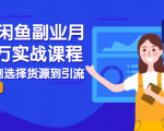 2021闲鱼副业月入过万实战课程:从开店到选择货源到引流,全程实战教学-学习资源库
