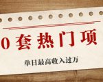 30套热门项目:单日最高收入过万 (网赚项目、朋友圈、涨粉套路、抖音、快手)等-学习资源库