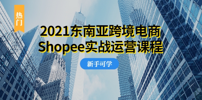 2021东南亚跨境电商Shopee实战运营课程，0基础、0经验、0投资的副业项目-学习资源库