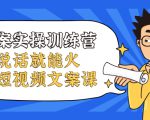 文案实操训练营，只说话就能火的短视频文案课-学习资源库