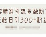1套精准引流金融粉方法,轻松日引300+粉丝-学习资源库