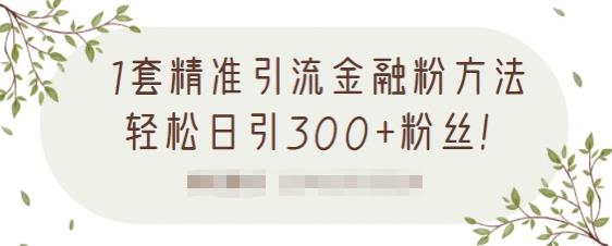 1套精准引流金融粉方法，轻松日引300+粉丝-学习资源库