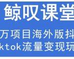 鲸叹号·海外TIKTOK训练营,百万项目海外版抖音tiktok流量变现玩法-学习资源库
