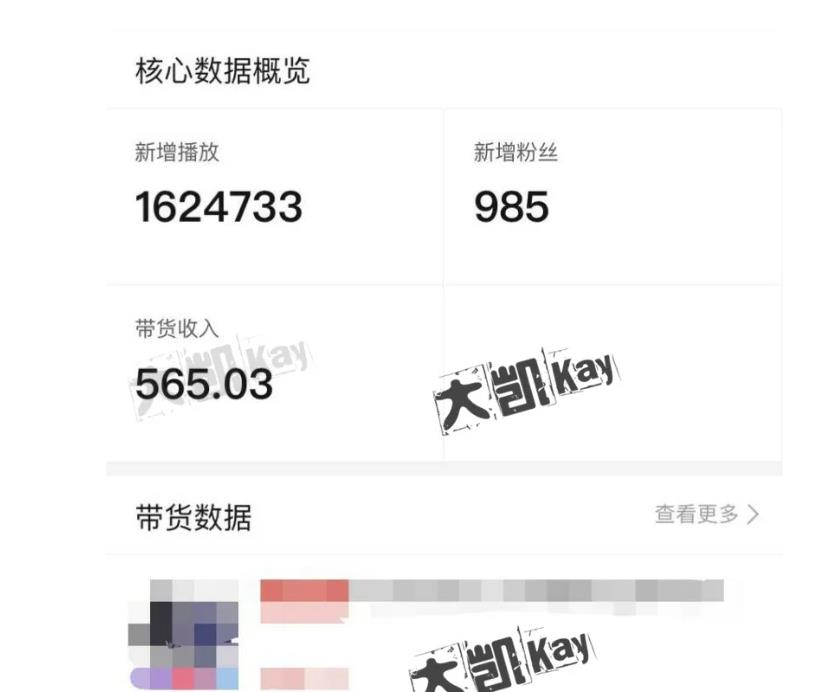大凯进阶圈新玩法之拼多多视频玩法，利润大概一个号一天能有500~1500的左右!-学习资源库