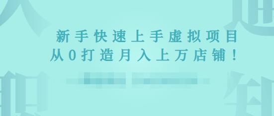 2022年虚拟项目实战指南，新手从0打造月入上万店铺-学习资源库