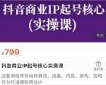 抖音商业IP起号核心实操课，带你玩转算法，流量，内容，架构，变现-学习资源库