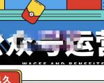 零零已久·从0-1运营公众号,零基础小白也能上手,系统性了解公众号运营-学习资源库
