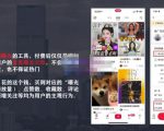 麦子互娱短视频带货·0基础做好物分享账号,无需出镜无需货源无需拍摄-学习资源库