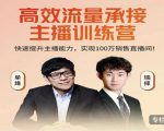 高效流量承接主播训练营：快速提升主播能力,实现100万销售直播间-学习资源库