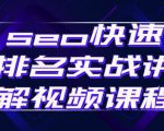 seo快速排名实战讲解视频课程,揭秘seo快排原理-学习资源库