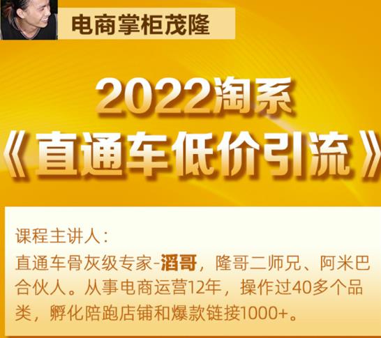 茂隆2022直通车低价引流玩法，教大家如何低投入高回报的直通车玩法-学习资源库