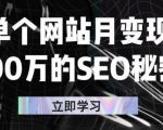 单个网站月变现100万的SEO秘密,百分百做出赚钱站点-学习资源库
