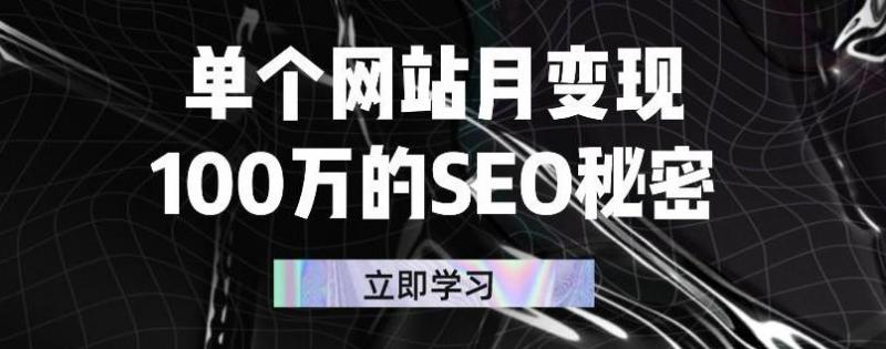 单个网站月变现100万的SEO秘密，百分百做出赚钱站点-学习资源库