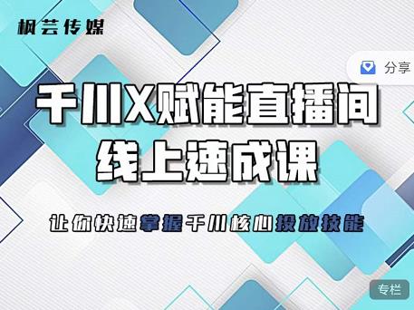 枫芸传媒-线上千川提升课，提升千川认知，提升千川投放效果-学习资源库